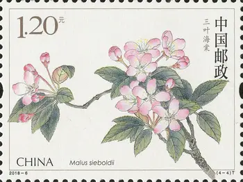 Nova KITAJSKA Poštne znamke 2018-6 Kitajski Cvetenja Crabapple Begonia Cvetje 4Pcs Novih Znamk BREZ prilepke
