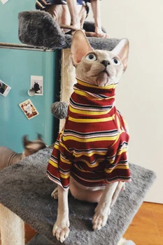 XS Do XL Mačka Oblačila za Sfinga Hairless Striped Oblačila Toplo Pleteni Pulover Mačka Oblačila Hišnih Dodatki